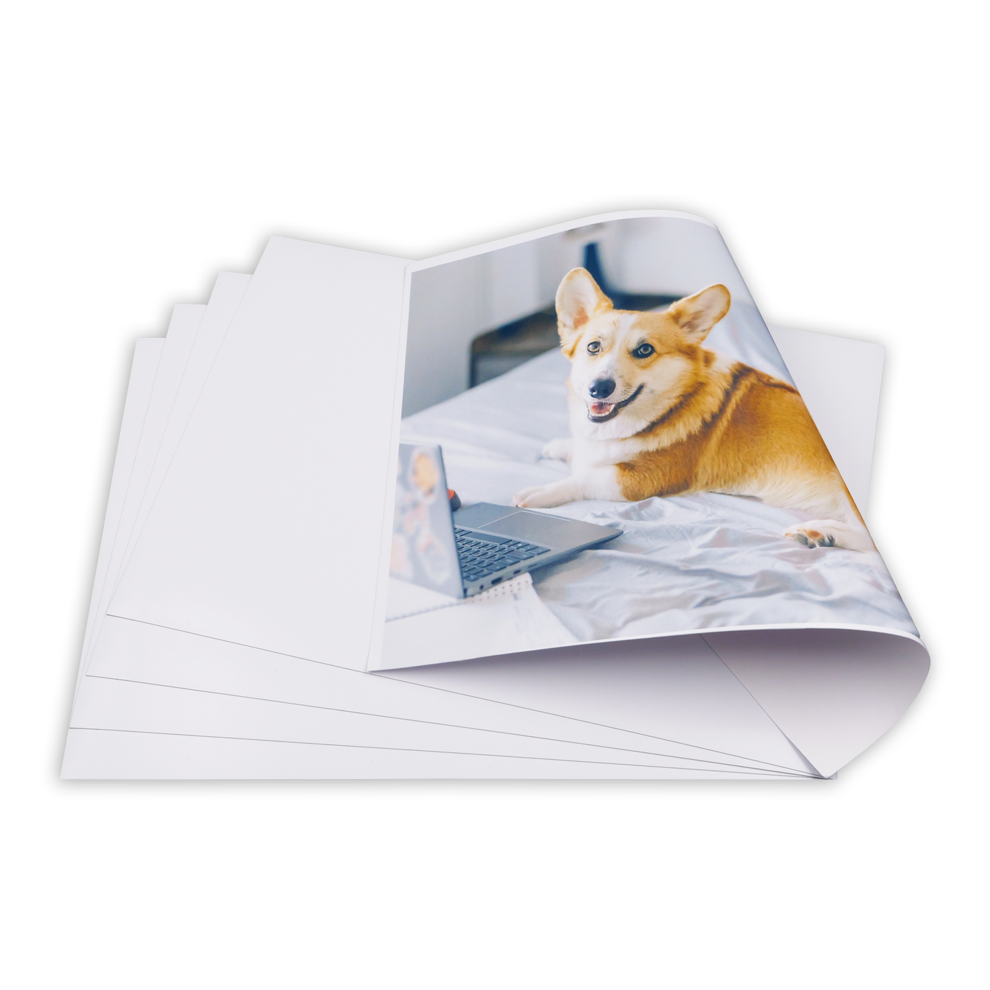 Printable Magnet Photo Paper for Inkjet Printer, Whiteboard, Fridge Magnet Sticker, Crafts and Pattern Storage, Easy to Use and Remove, 8.27 x 11.69 inches, 5 Pack