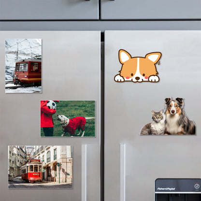 Printable Magnet Photo Paper for Inkjet Printer, Whiteboard, Fridge Magnet Sticker, Crafts and Pattern Storage, Easy to Use and Remove, 8.27 x 11.69 inches, 5 Pack